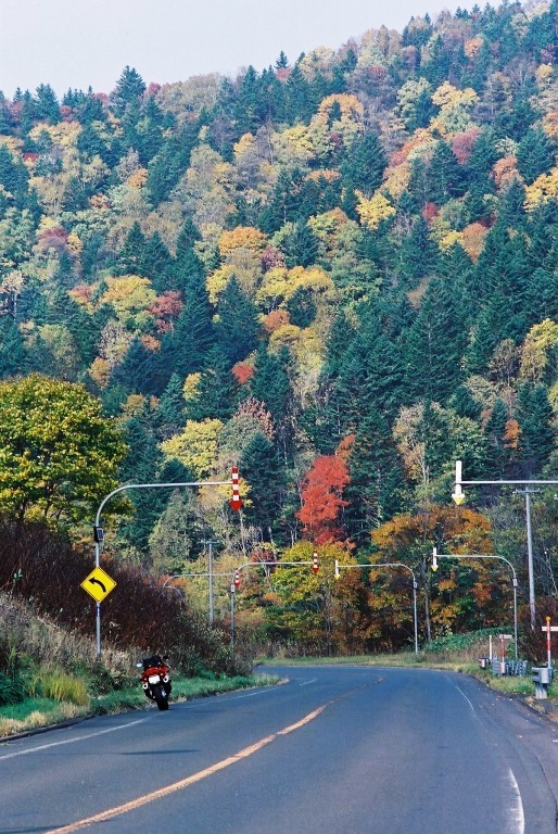 f0362725_17073022.jpg