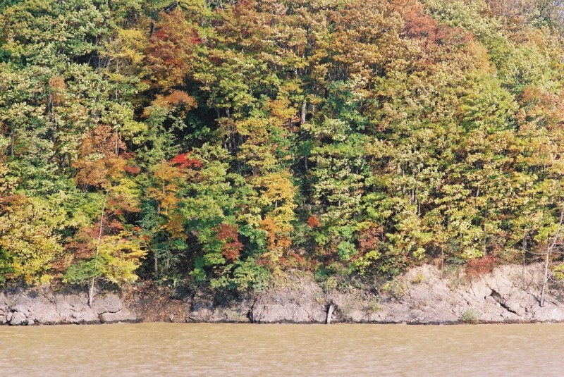f0362725_17101329.jpg