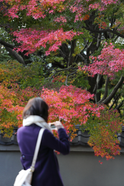紅葉の東福寺 －龍吟庵－_b0169330_21542680.jpg
