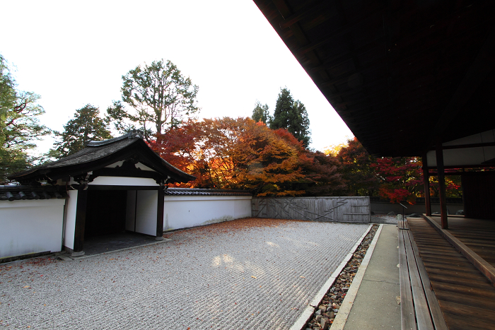 紅葉の東福寺 －龍吟庵－_b0169330_22155579.jpg