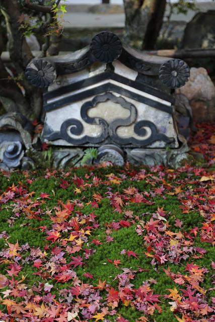 紅葉の東福寺 －龍吟庵－_b0169330_22353525.jpg