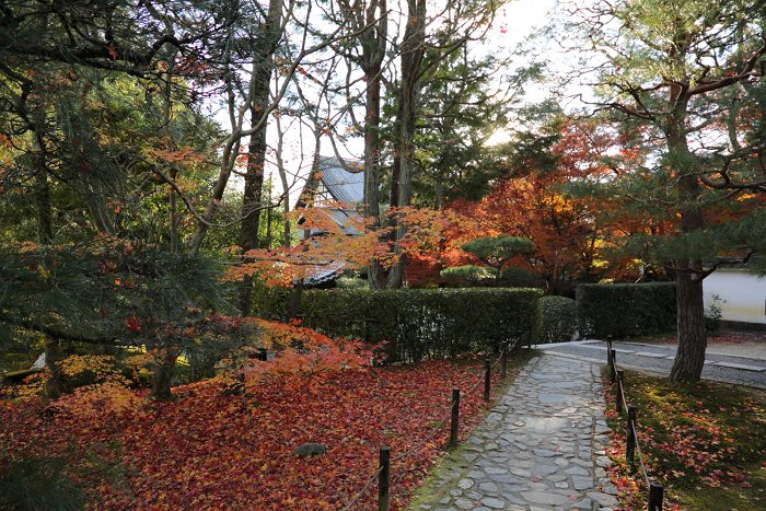 紅葉の東福寺 －龍吟庵－_b0169330_22363812.jpg