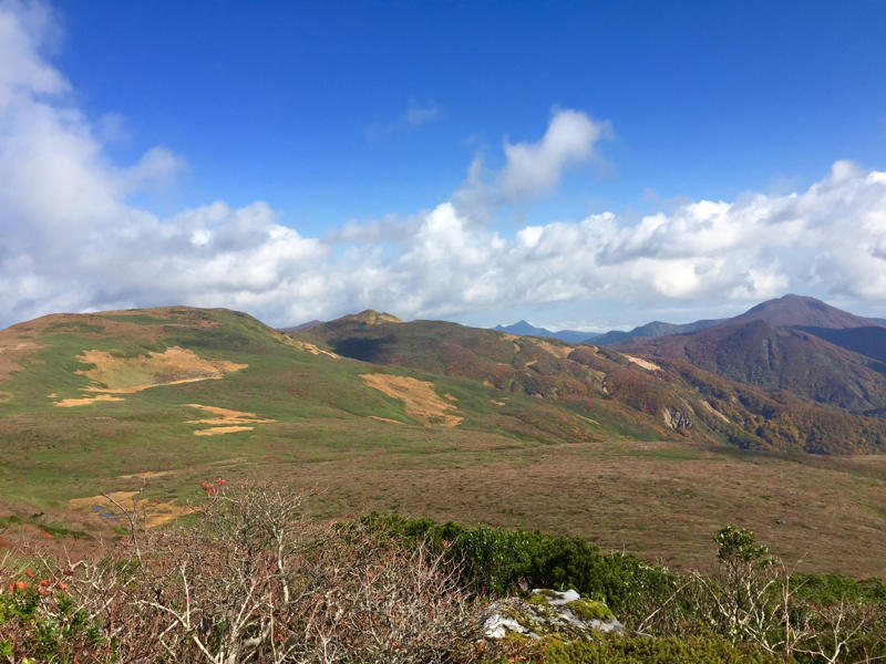 c0225536_19404760.jpg