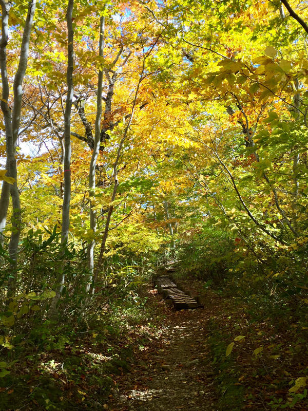 c0225536_21033356.jpg