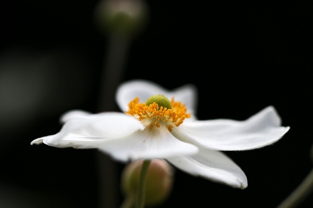 a0242438_20111430.jpg