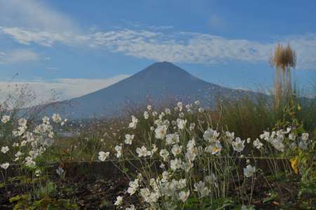 2016年10月12日　大石公園　秋の風景_c0314839_07575083.jpg