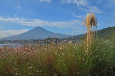 2016年10月12日　大石公園　秋の風景_c0314839_07581313.jpg