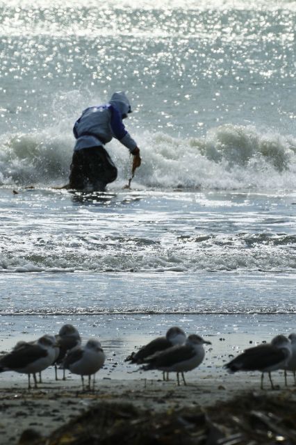 北の海で・・・拾い昆布漁_b0133447_17173218.jpg