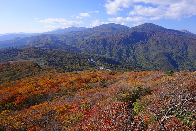 b0122448_07490346.jpg