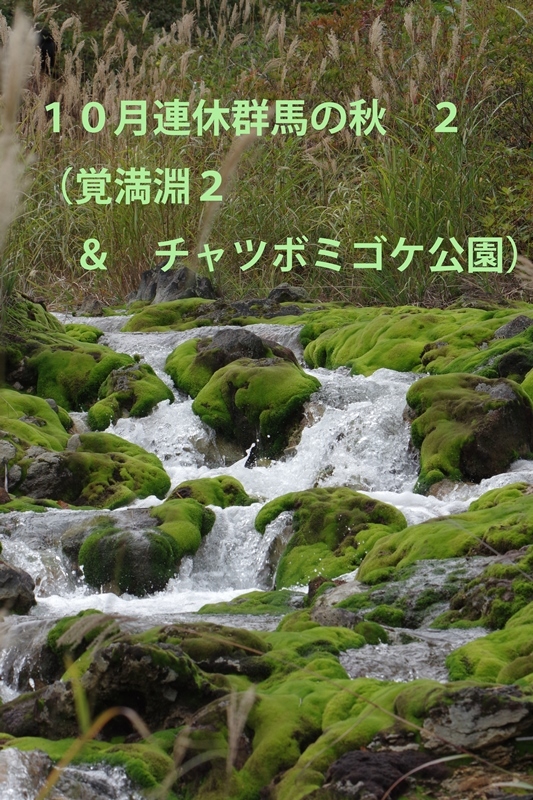 10月連休群馬の秋2 チャツボミゴケ公園 還暦からのネイチャーフォト 10月連休群馬の秋2 チャツボミゴケ公園 還暦からのネイチャーフォト