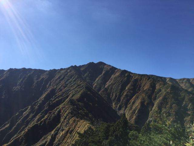e0329049_16212394.jpg