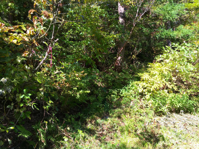 e0329049_21051763.jpg