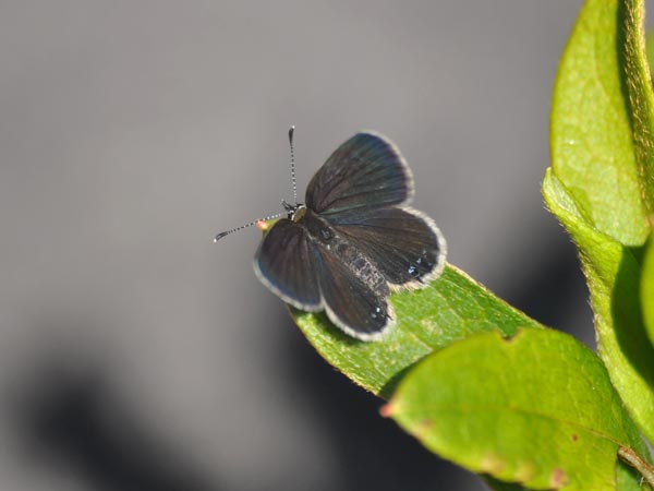 c0045352_15553388.jpg