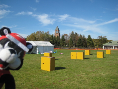 b0159557_18121389.jpg