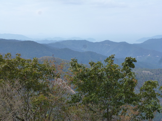 高島トレイル　百里ヶ岳_d0231858_1831519.jpg