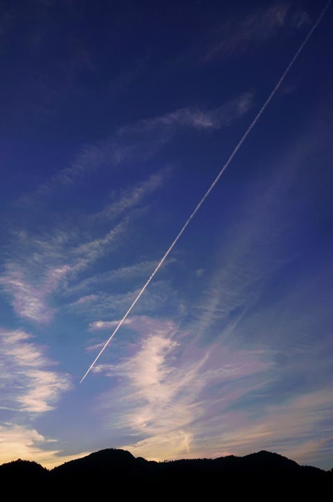 e0019563_11350644.jpg
