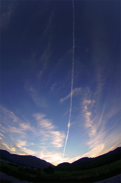 e0019563_11374026.jpg