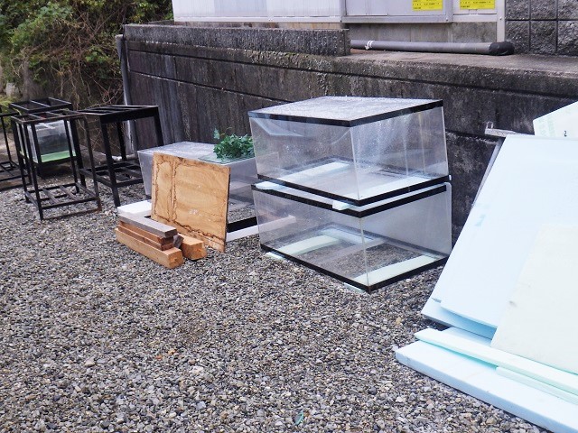 c0105569_0262158.jpg