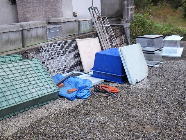 c0105569_0263318.jpg