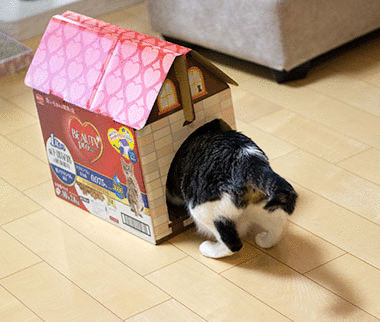 a0119470_23393572.gif