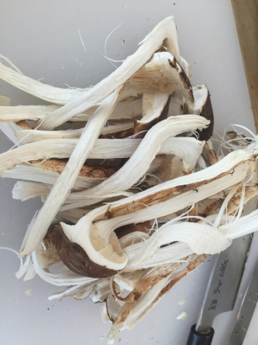 秋の特別クラス 松茸尽くしの精進料理クラス_e0326573_08370021.jpg