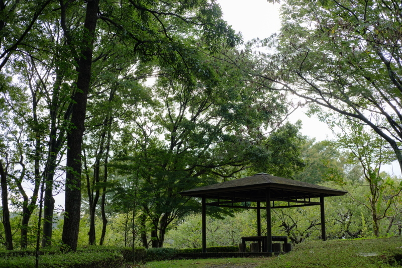 b0368075_08053362.jpg