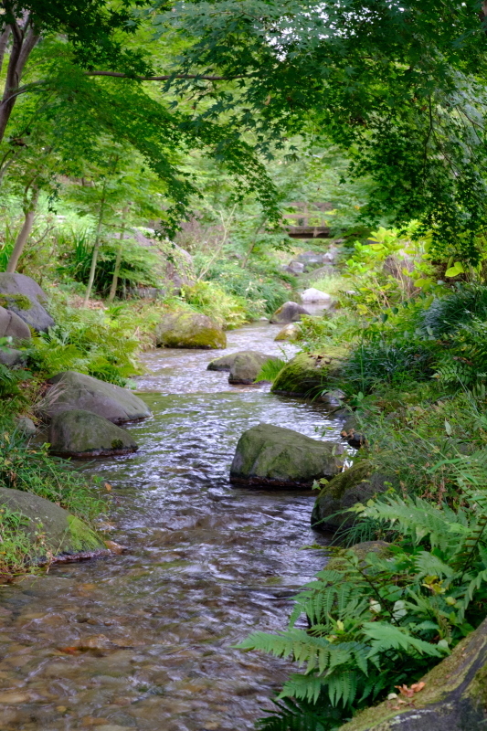 b0368075_08054132.jpg