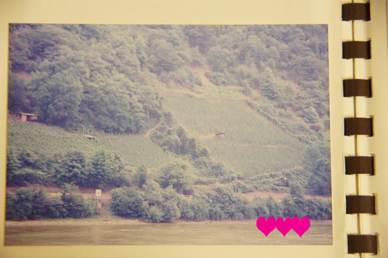 パッチワークつながりで・・琵琶湖を臨む景色とライン川のワイン畑とKatsのラベル（１）_c0139591_2311825.jpg