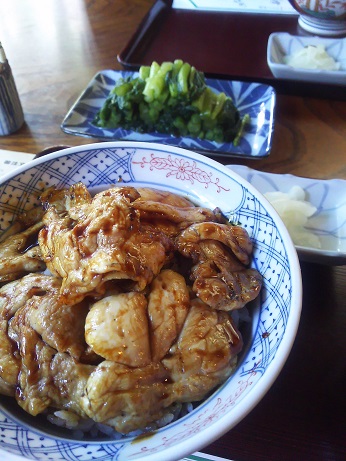 お局のお出かけ。_a0045293_10352276.jpg