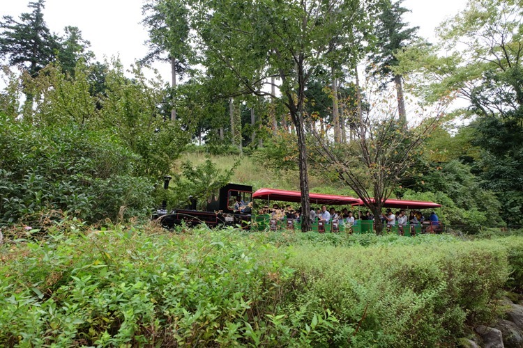 d0153294_14591944.jpg