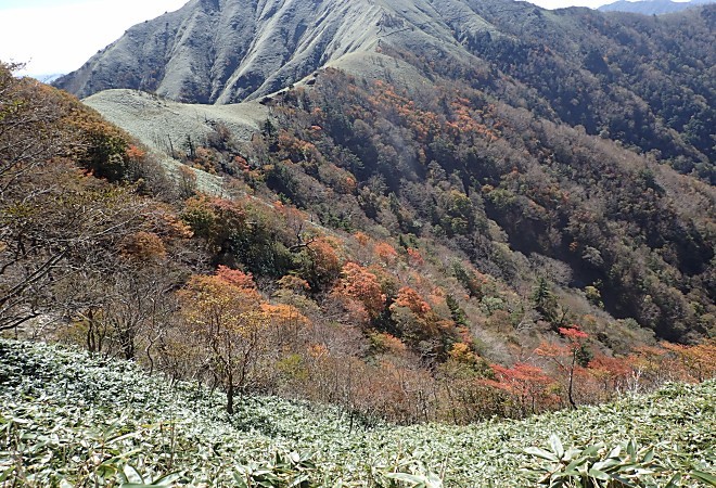 剣山（１９９５M）_a0339396_20122464.jpg