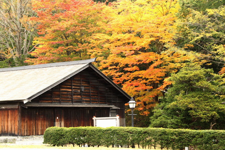 旧島松駅逓　＆　島松沢の紅葉（１０／１７）_c0360399_21390489.jpg