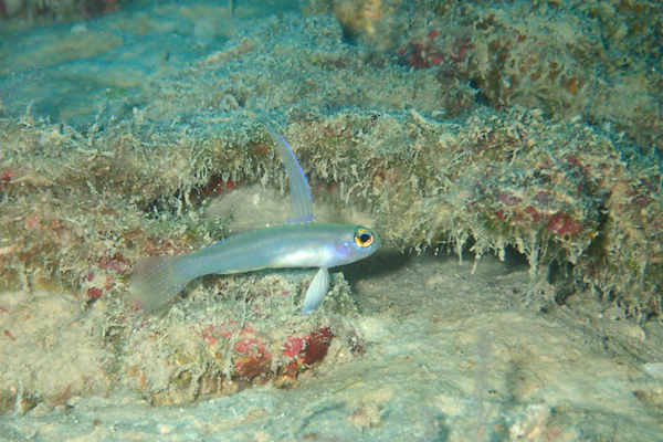 f0121701_1850214.jpg