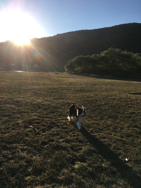 f0034602_20311037.jpeg