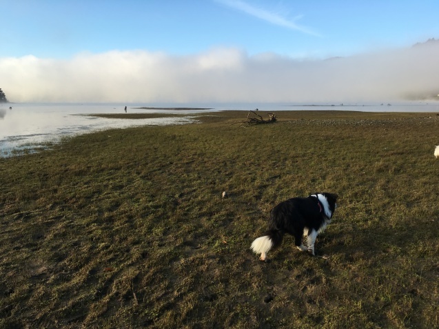 f0034602_20321206.jpeg