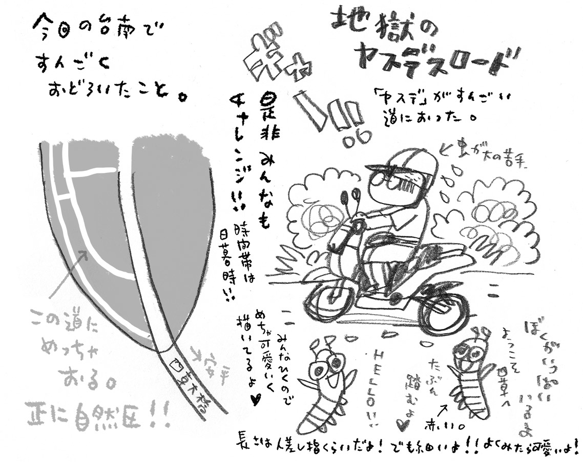 台南 地獄のヤスデスロード_e0022403_17524814.jpg