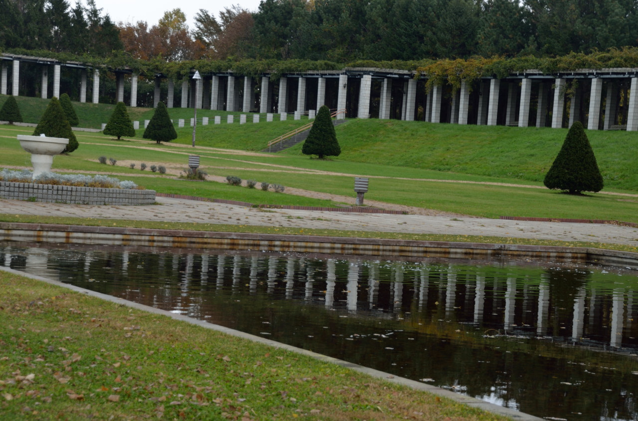 前田森林公園歩こう会_c0171406_19461996.jpg