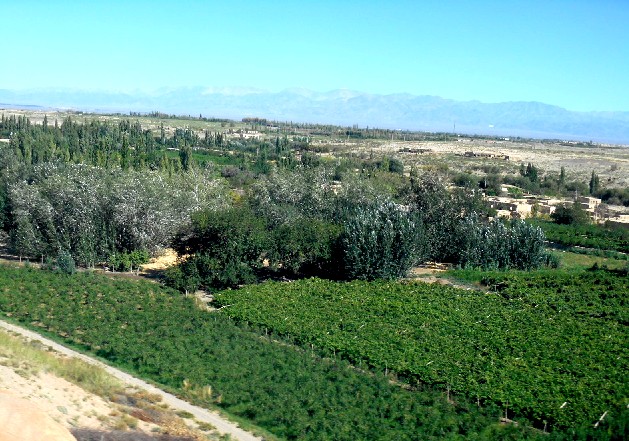 d0140806_1282834.jpg