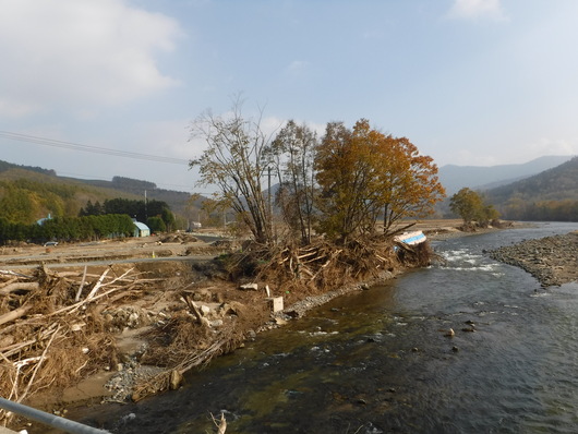 c0118011_97738.jpg