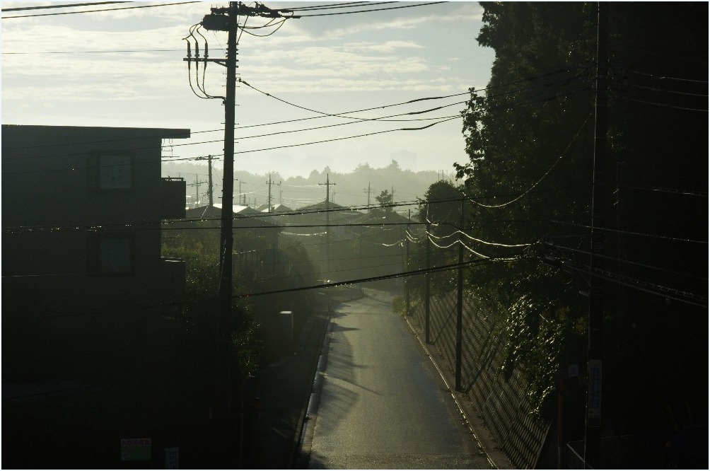 朝の光に_c0352813_10135198.jpg