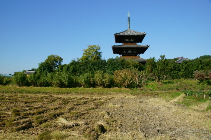 法起寺と青空と秋桜_e0177413_07300461.jpg