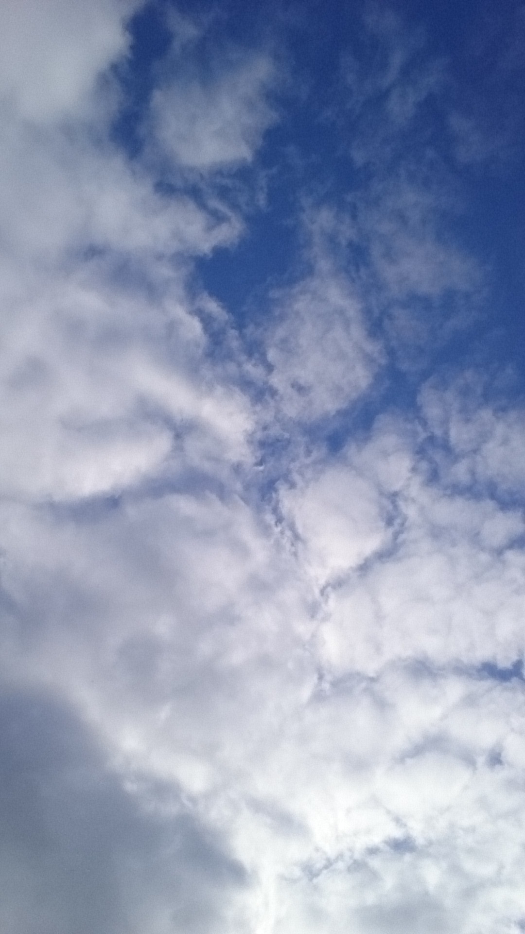 a0039320_00534512.jpg