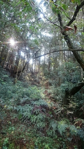 b0187620_20240615.jpg