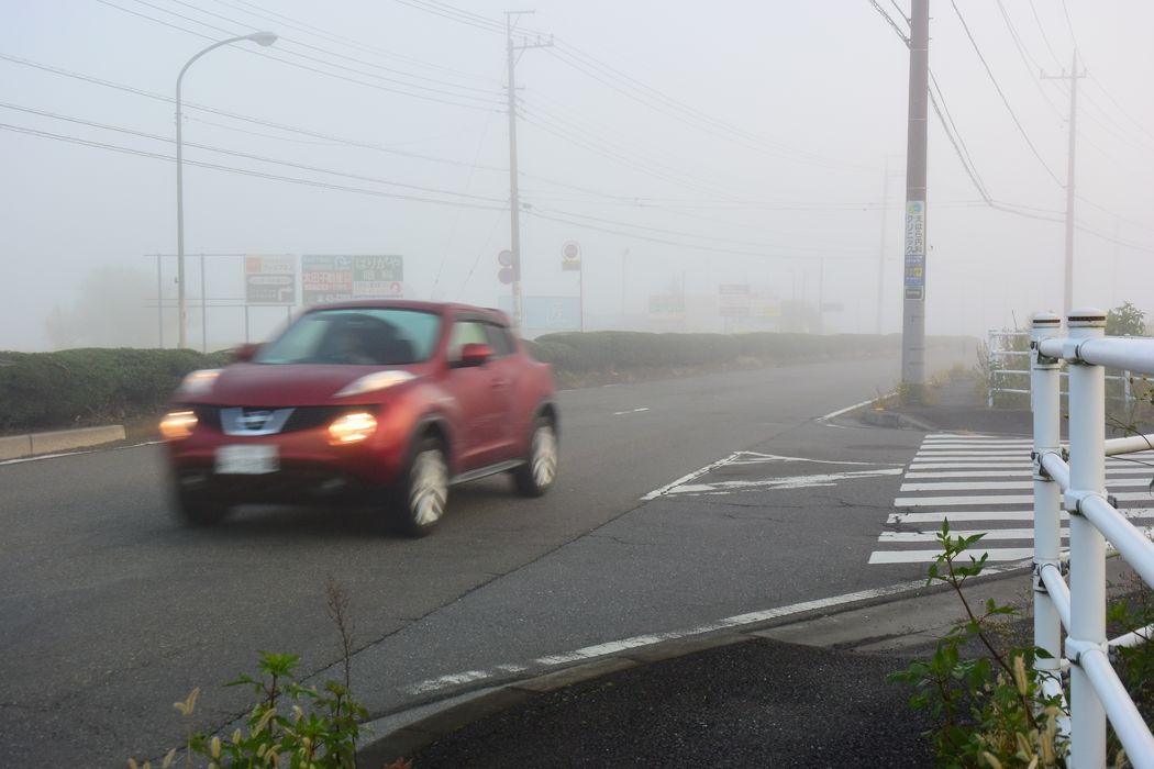 濃霧の朝でした。散歩です。面白かったです。_a0031821_1481260.jpg