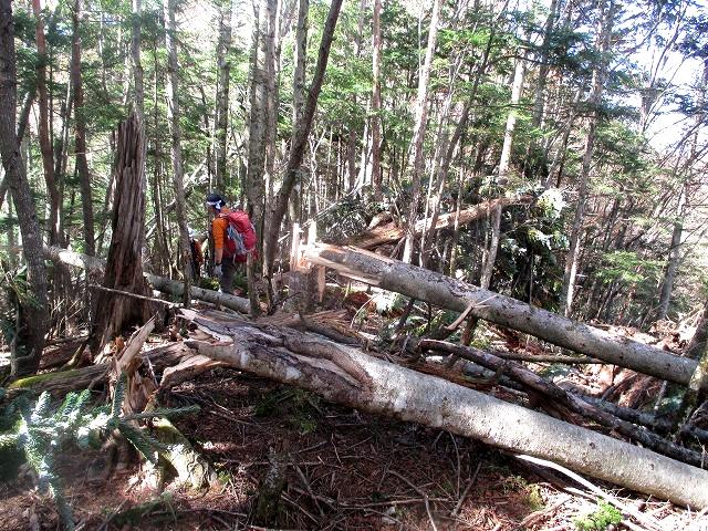 上野村 昇魂の御巣鷹尾根 高天原山と大蛇倉山 Mount Takamagahara Daijyagura In Ueno Gunma やっぱり自然が好き 上野村 昇魂の御巣鷹尾根 高天原山と大蛇倉山 Mount Takamagahara Daijyagura In Ueno Gunma やっぱり自然が好き