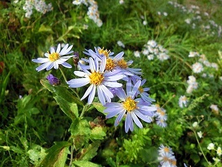 e0234924_06122223.jpg