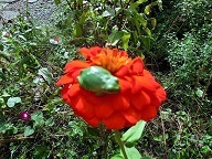e0234924_06182253.jpg