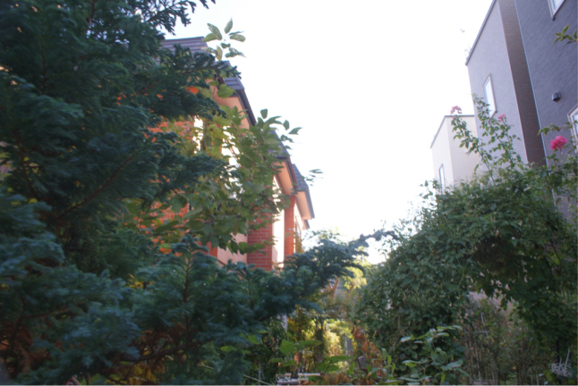 f0170524_09132562.jpg