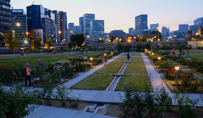 都会の秋と夜景 （梅北＆淀屋橋中の島公園）_a0216227_13205931.jpg