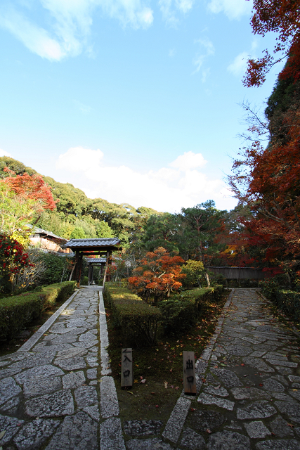 紅葉の東福寺 －即宗院－_b0169330_7131983.jpg